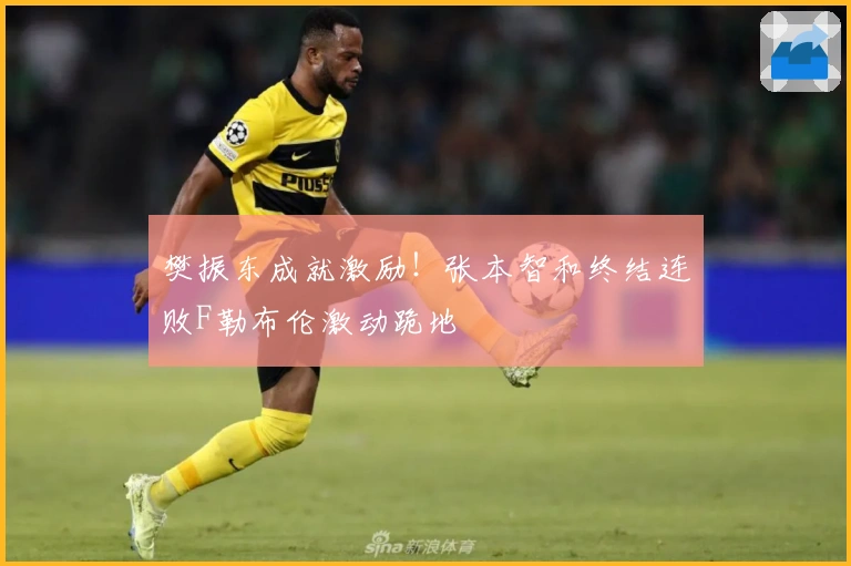 樊振东成就激励！张本智和终结连败F勒布伦激动跪地